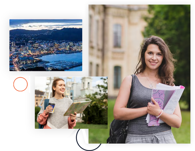 New Zealand Education